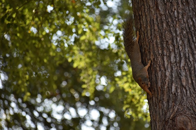颜骏凌：真正的冠军点是德比；年轻球员涌现对中国足球是好事