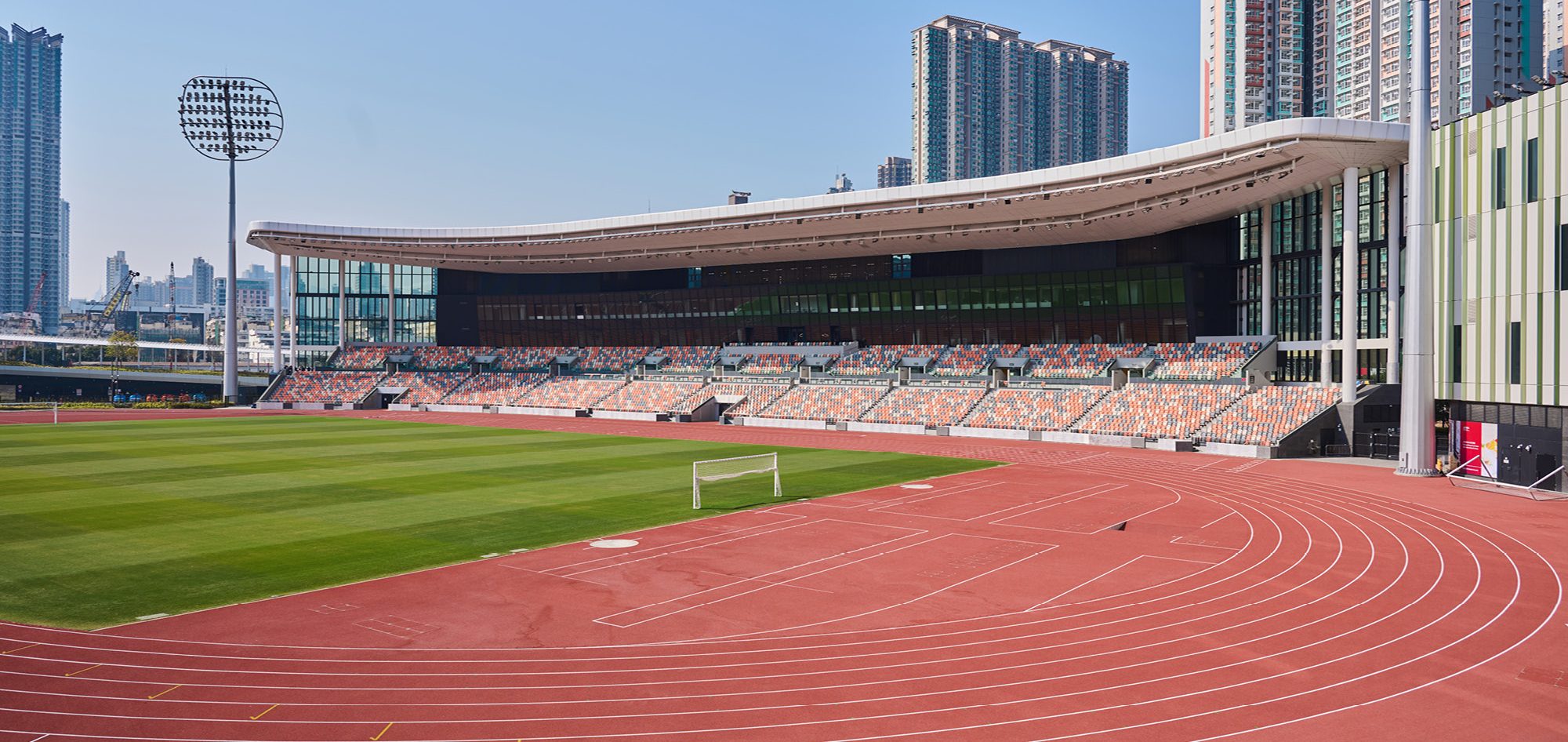 杆与情