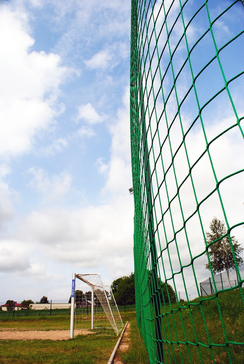 罗体：邓弗里斯、达米安等5名球员今日在国米基地进行康复