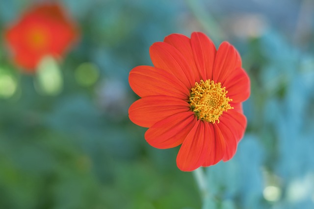 在他加盟前 在他加盟前